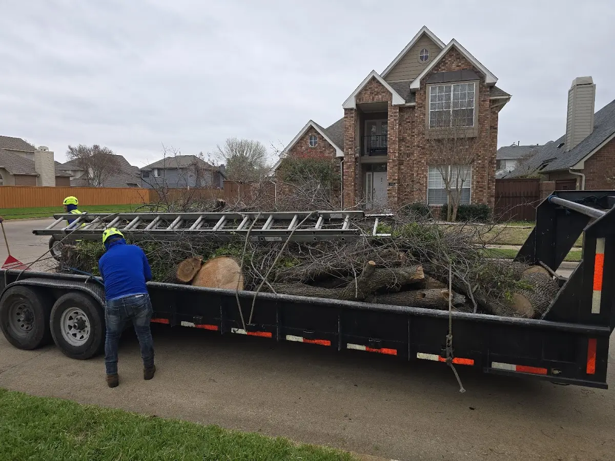Expert Crown Reduction with proper safety equipment in Goldthwaite